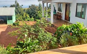 Ruhija Gorilla Guest House