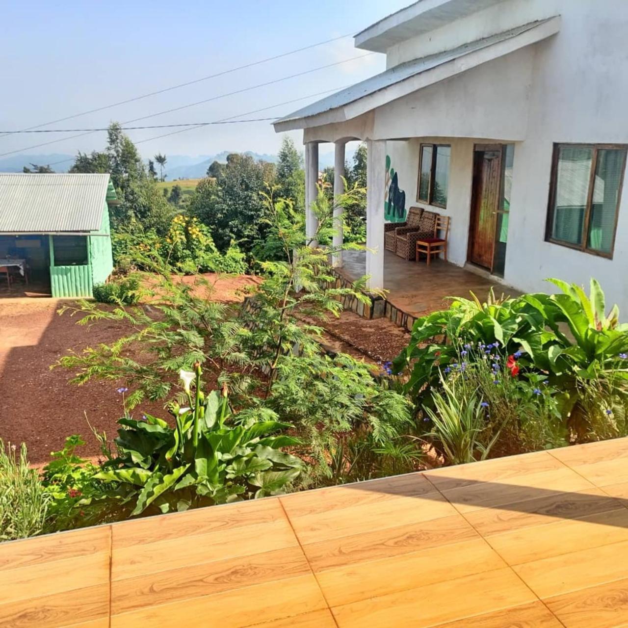 Ruhija Gorilla Guest House Kabale Exterior photo